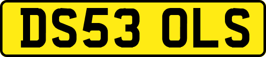 DS53OLS