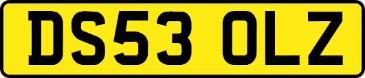 DS53OLZ