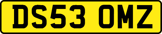 DS53OMZ
