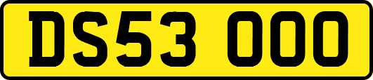 DS53OOO