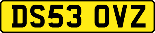 DS53OVZ
