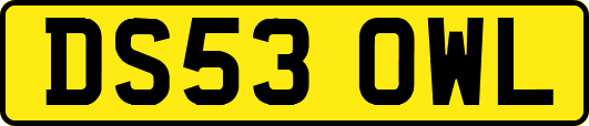 DS53OWL