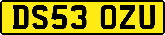 DS53OZU