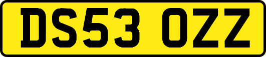 DS53OZZ