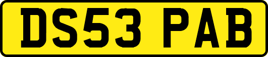 DS53PAB