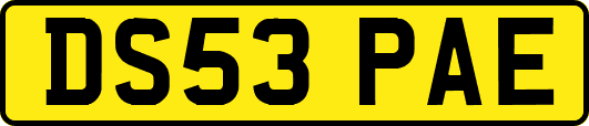 DS53PAE