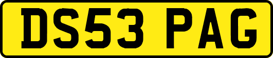DS53PAG