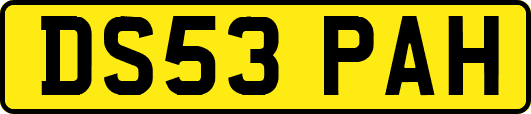 DS53PAH
