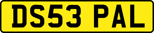 DS53PAL