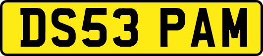 DS53PAM
