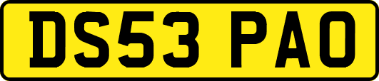 DS53PAO