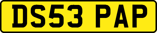 DS53PAP