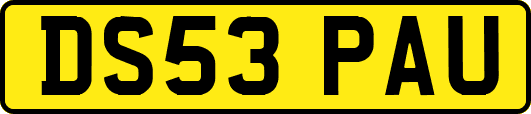 DS53PAU