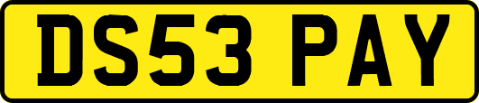 DS53PAY