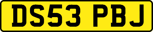 DS53PBJ