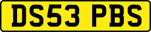 DS53PBS