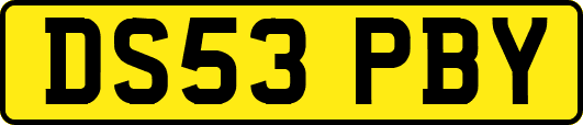 DS53PBY
