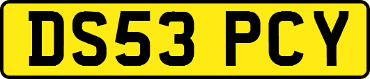 DS53PCY