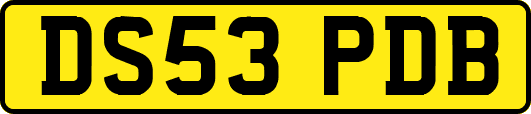 DS53PDB
