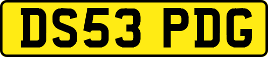 DS53PDG