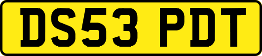 DS53PDT