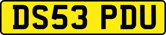 DS53PDU