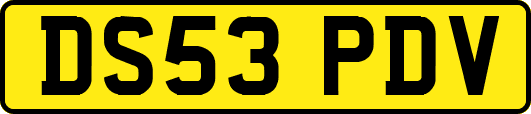 DS53PDV