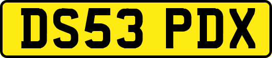 DS53PDX