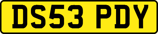 DS53PDY