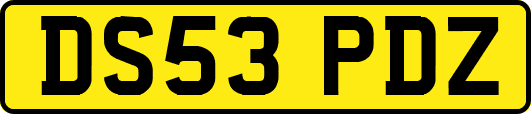 DS53PDZ