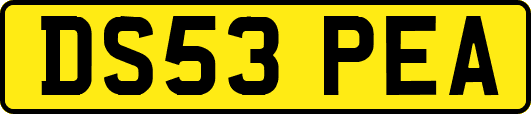 DS53PEA