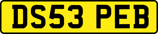 DS53PEB