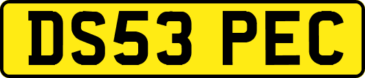 DS53PEC
