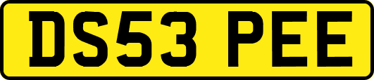 DS53PEE