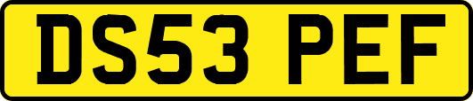 DS53PEF