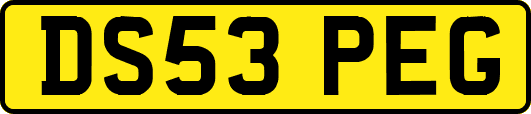 DS53PEG