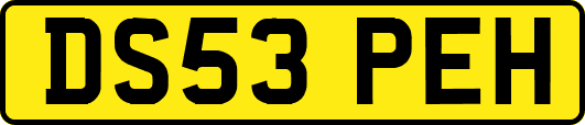 DS53PEH