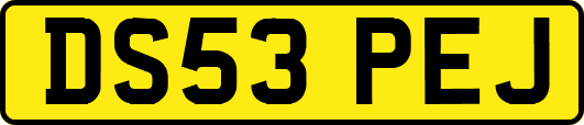 DS53PEJ