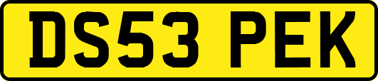 DS53PEK
