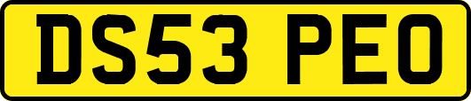 DS53PEO