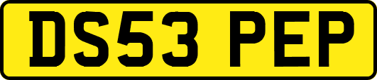 DS53PEP