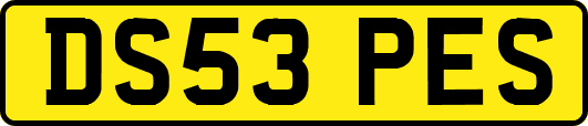 DS53PES