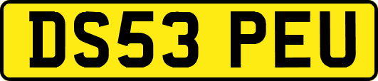 DS53PEU