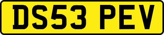DS53PEV