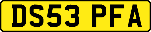 DS53PFA