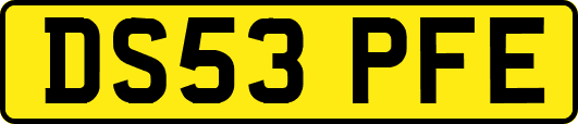 DS53PFE