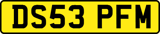 DS53PFM
