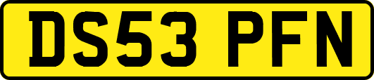 DS53PFN