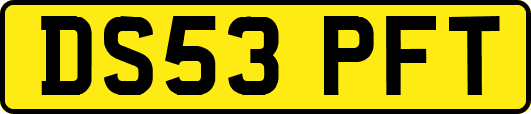 DS53PFT