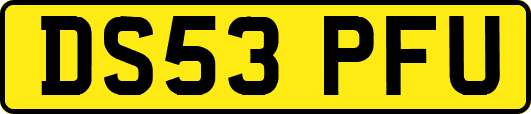 DS53PFU
